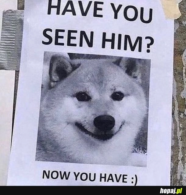 Pamiętacie Pieseła tak swoją drogą