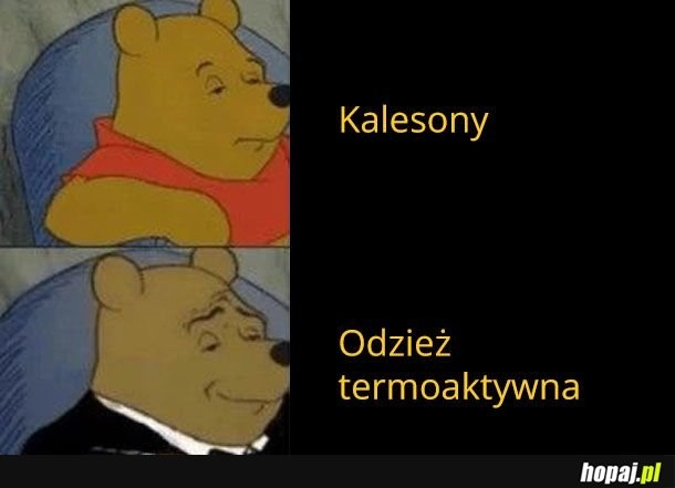 Kalesony