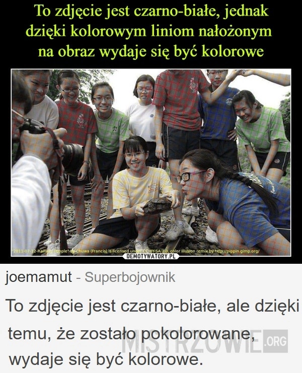 
    Zdjęcie