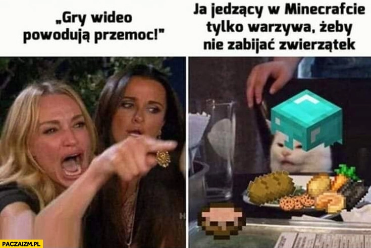 
    Gry wideo powodują przemoc vs ja jedzący w Minecrafcie tylko warzywa żeby nie zabijać zwierzątek