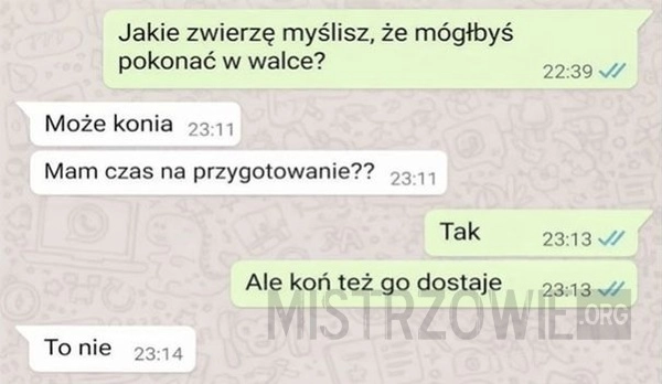
    Zwierzę