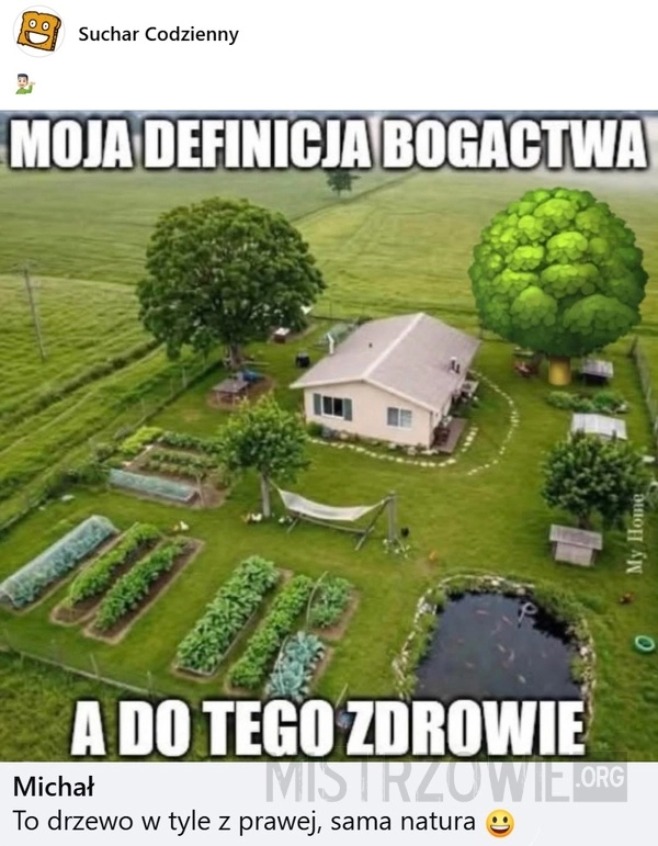 
    Bogactwo