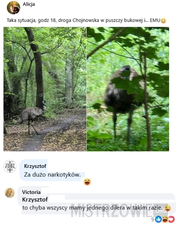 
    Emu