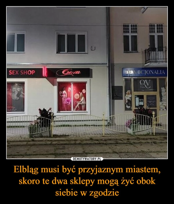 
    Elbląg musi być przyjaznym miastem, skoro te dwa sklepy mogą żyć obok siebie w zgodzie