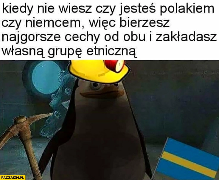 
    Kiedy nie wiesz czy jesteś Polakiem czy Niemcem wiec bierzesz najgorsze cechy od obu i zakładasz własną grupę etniczną Śląsk Ślązacy górnik górnicy