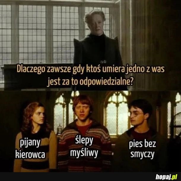 
    Kierowca i myśliwy częściej