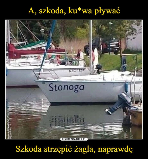 
    A, szkoda, ku*wa pływać Szkoda strzępić żagla, naprawdę
