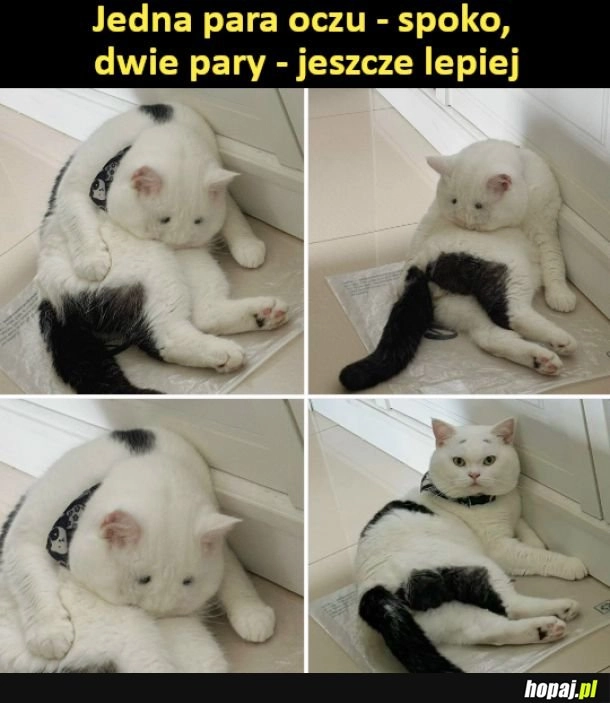 
    Im więcej tym lepiej