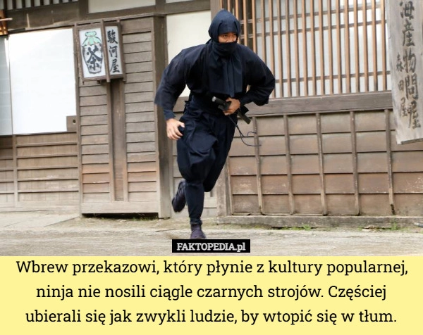 
    Wbrew przekazowi, który płynie z kultury popularnej, ninja nie nosili ciągle