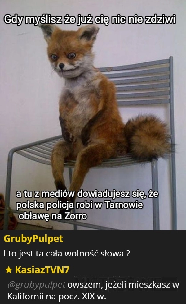 
    Zorro