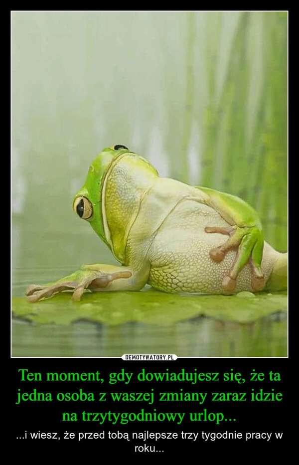 
    Ten moment, gdy dowiadujesz się, że ta jedna osoba z waszej zmiany zaraz idzie na trzytygodniowy urlop...