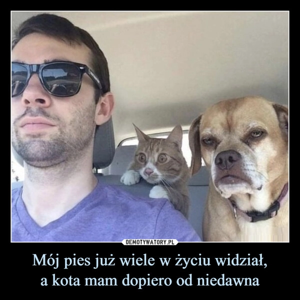 
    Mój pies już wiele w życiu widział,
a kota mam dopiero od niedawna