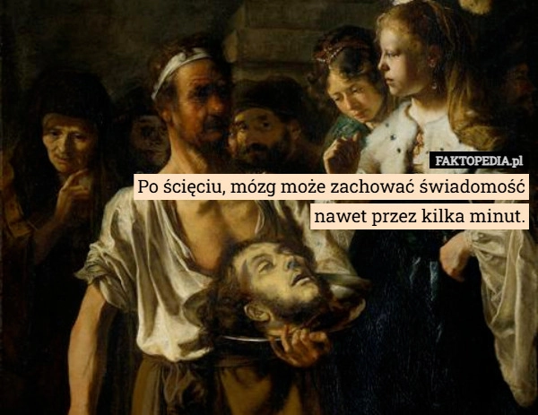 Po ścięciu, mózg może zachować świadomość
nawet przez kilka minut.