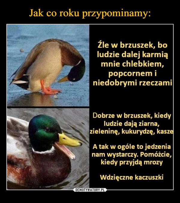 Jak co roku przypominamy: