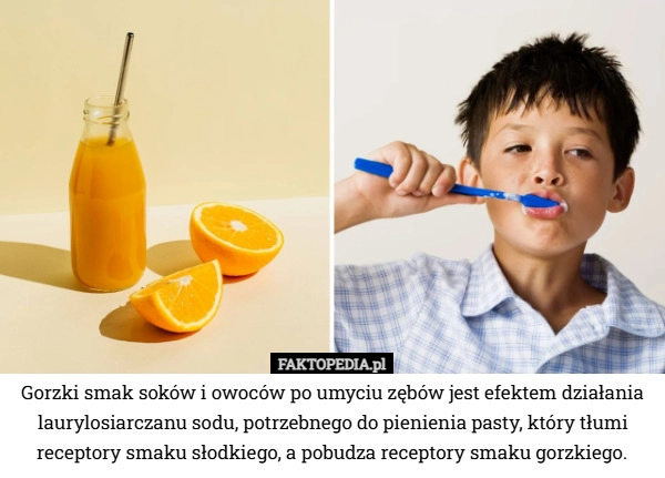 
    Gorzki smak soków i owoców po umyciu zębów jest efektem działania laurylosiarczanu