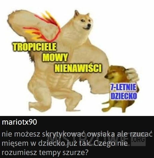 
    Tropiciele mowy nienawiści
