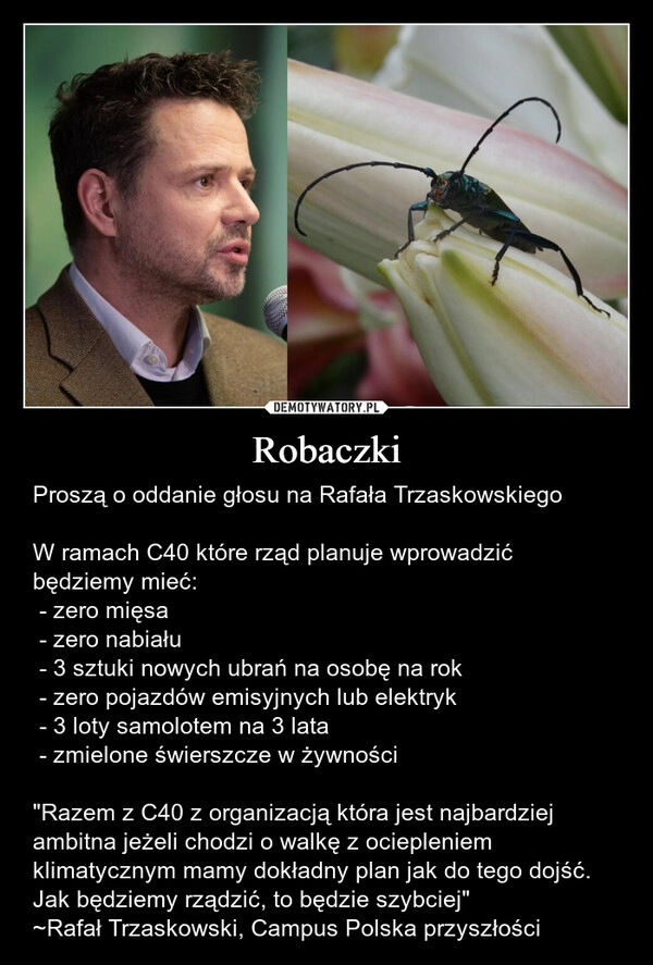 
    Robaczki