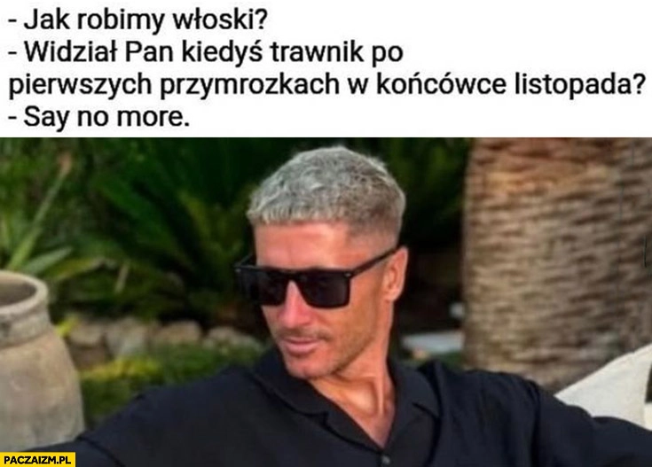 
    Lewandowski u fryzjera: jak robimy włoski? Widział pan kiedyś trawnik po pierwszych przymrozkach w końcówce listopada? Say no more