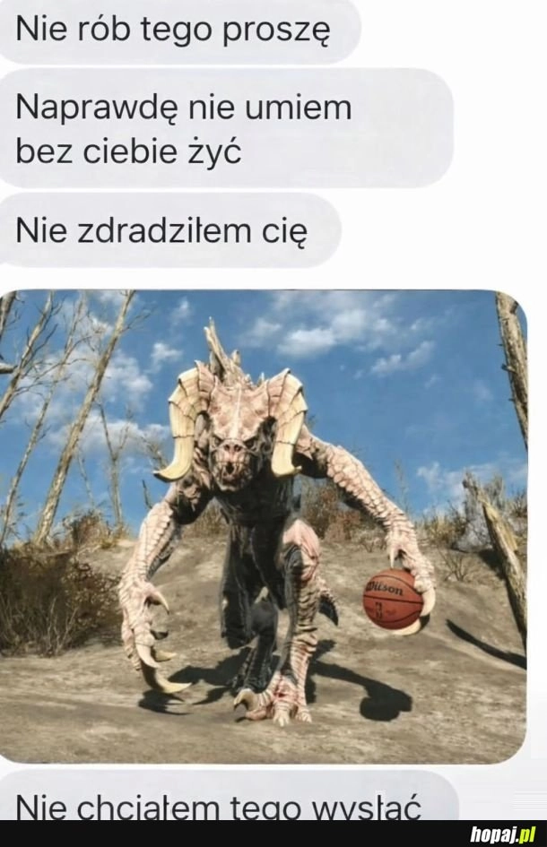 Ja nie chciałem