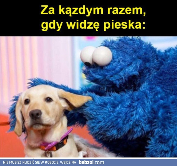 
    Kiedy widzę psa 