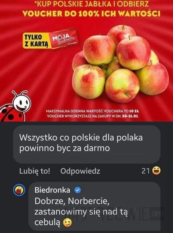 
    Jabłka