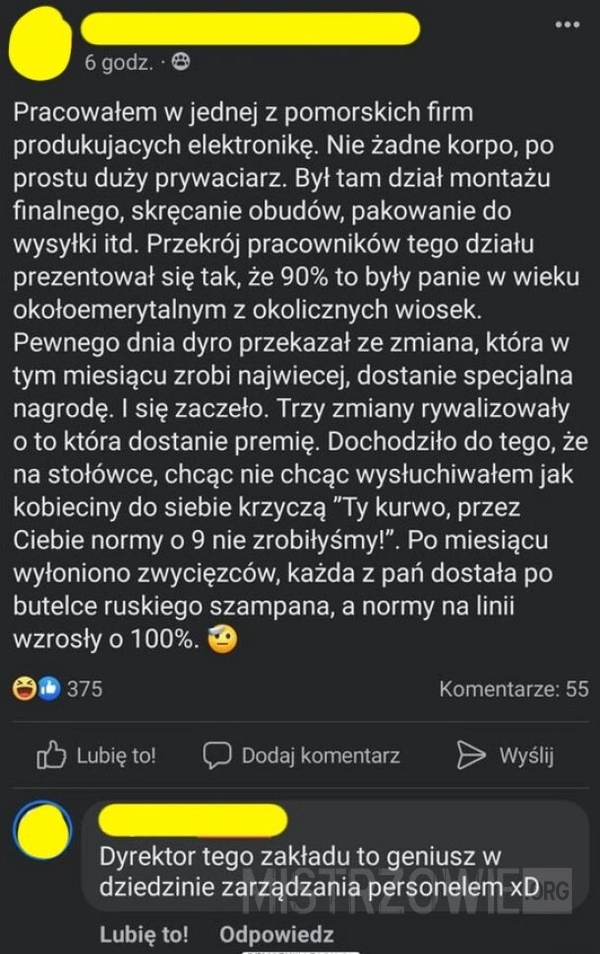 
    Mistrz zarządzania