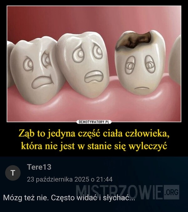 Część ciała