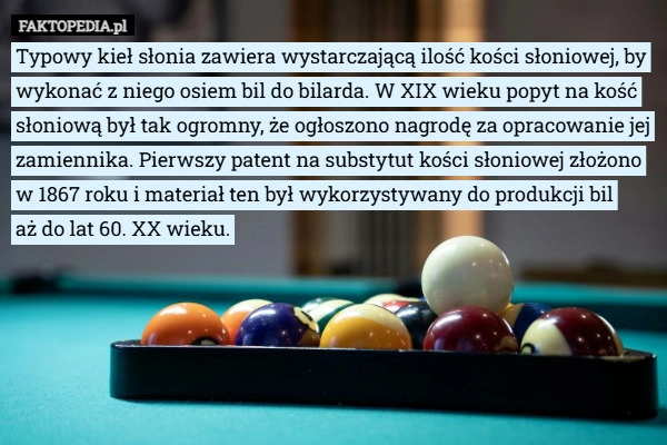 
    Typowy kieł słonia zawiera wystarczającą ilość kości słoniowej, by wykonać...
