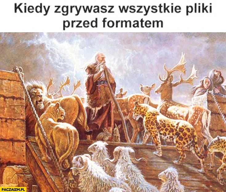 
    Kiedy zgrywasz wszystkie pliki przed formatem zwierzęta wchodzą na Arkę Noego