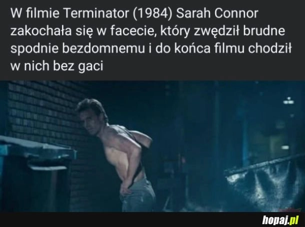 
    Terminator