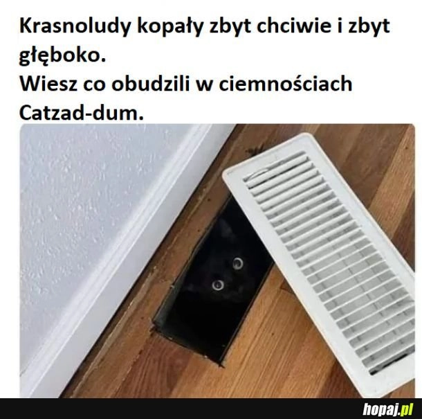 
    Krasnoludy