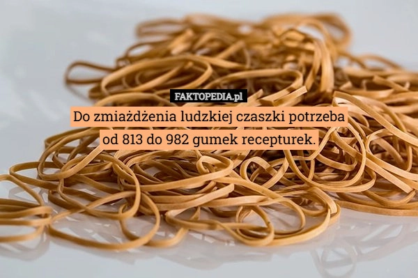 Do zmiażdżenia ludzkiej czaszki potrzeba
od 813 do 982 gumek recepturek.