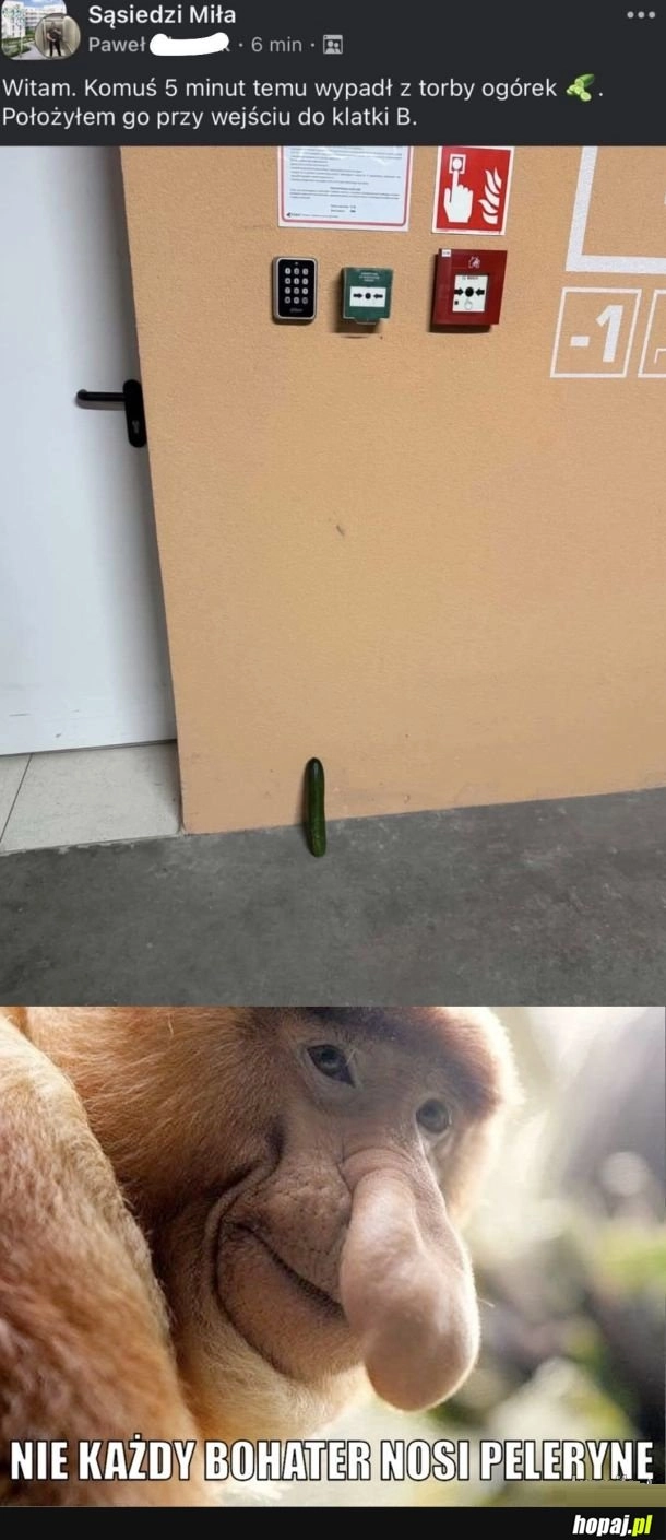 Mieć takiego sąsiada to skarb