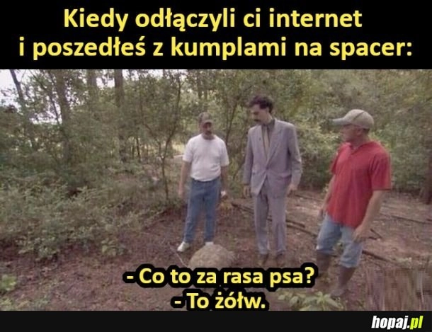 
    Kiedy odłączyli ci internet