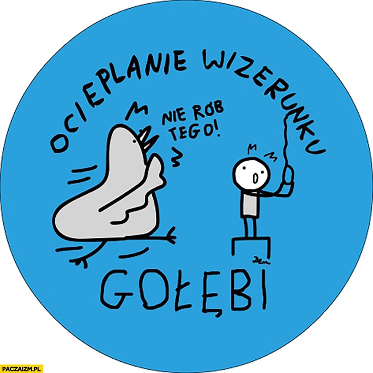 Ocieplanie wizerunku gołębi samobójca nie rób tego