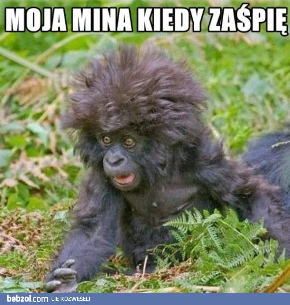 
    Kiedy zaśpię