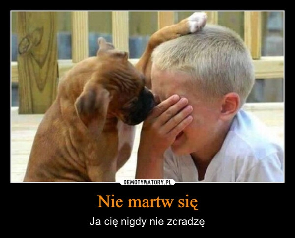 
    Nie martw się