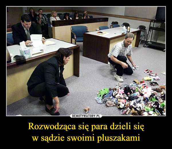 
    Rozwodząca się para dzieli się
w sądzie swoimi pluszakami