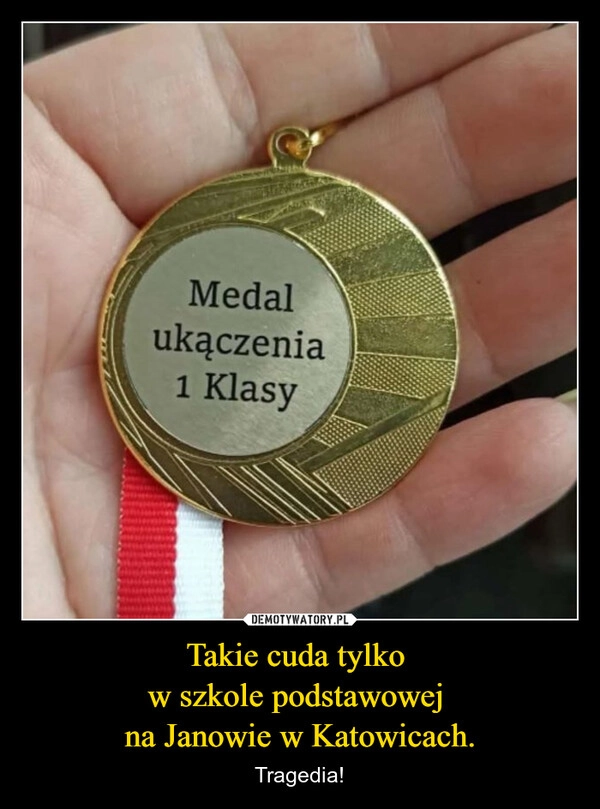
    Takie cuda tylko 
w szkole podstawowej 
na Janowie w Katowicach.