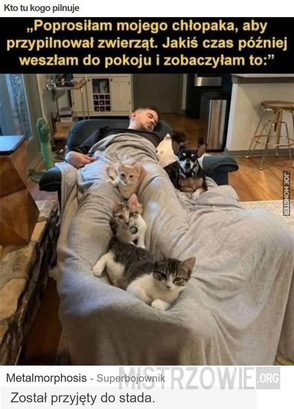 
    Kto tu kogo pilnuje