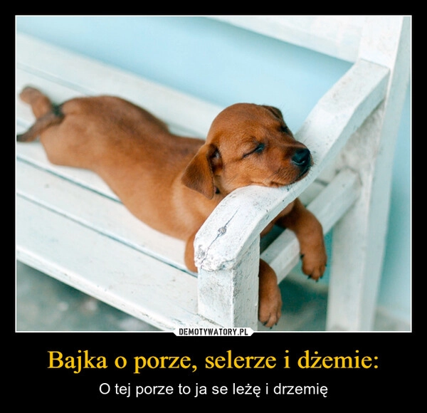 Bajka o porze, selerze i dżemie: