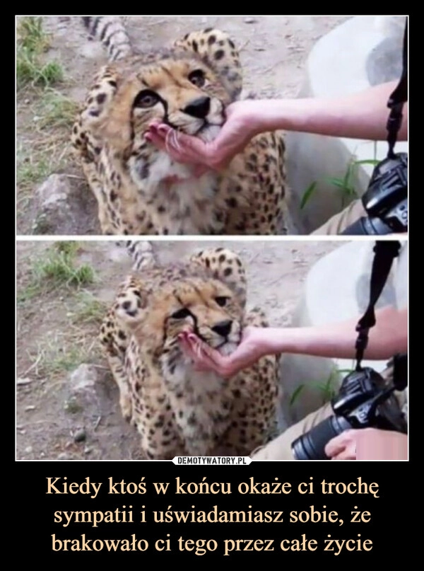 
    Kiedy ktoś w końcu okaże ci trochę
sympatii i uświadamiasz sobie, że brakowało ci tego przez całe życie