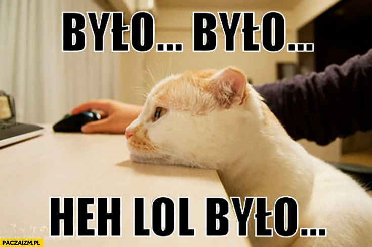 
    Bylo było heh lol było. Kot przegląda memy obrazki w internecie