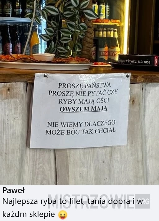 
    Ości
