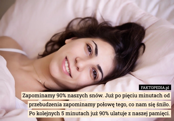 
    Zapominamy 90% naszych snów. Już po pięciu minutach od przebudzenia zapominamy