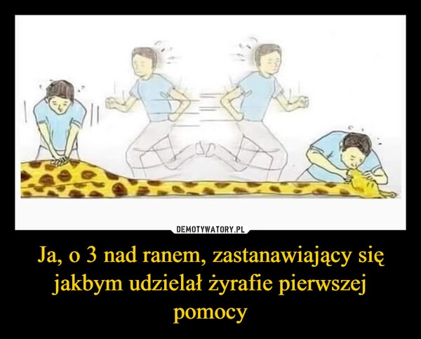 
    Ja, o 3 nad ranem, zastanawiający się jakbym udzielał żyrafie pierwszej pomocy