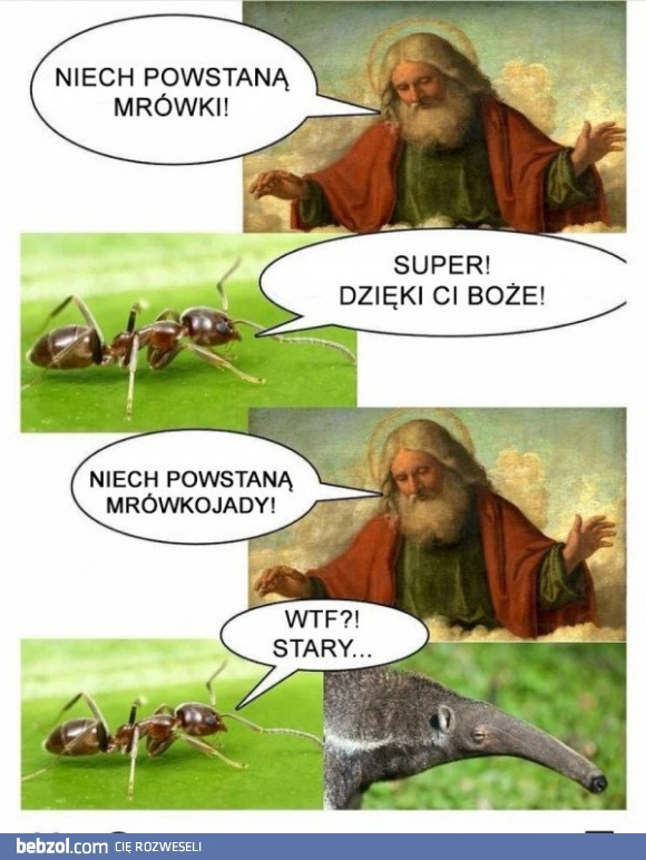 
    Nie ma lekko