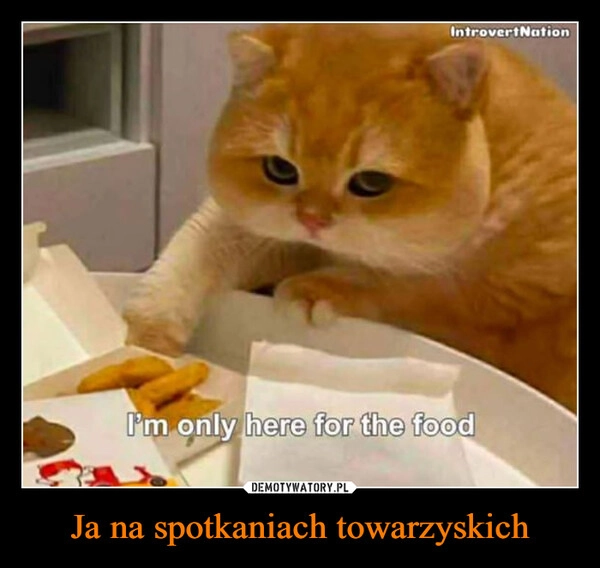 
    Ja na spotkaniach towarzyskich