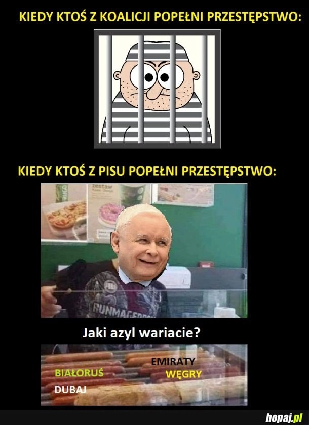 I tym się zasadniczo róznią