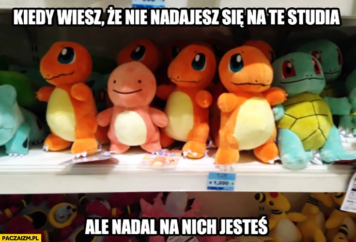 
    Kiedy wiesz, że nie nadajesz się na te studia ale nadal na nich jesteś. Pokemony